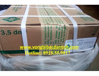 VÒNG BI SL18 3038 TP C3 INA